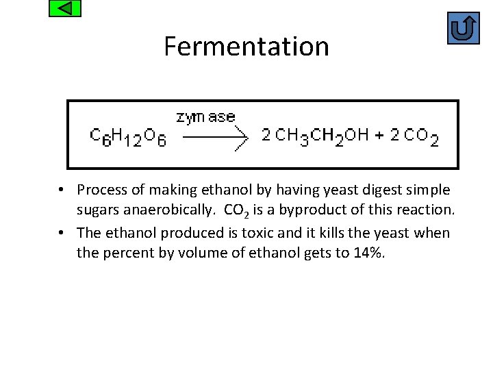 Fermentation • Process of making ethanol by having yeast digest simple sugars anaerobically. CO