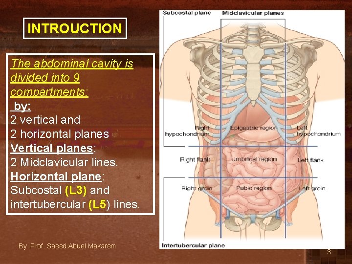 INTROUCTION The abdominal cavity is divided into 9 compartments: by: 2 vertical and 2