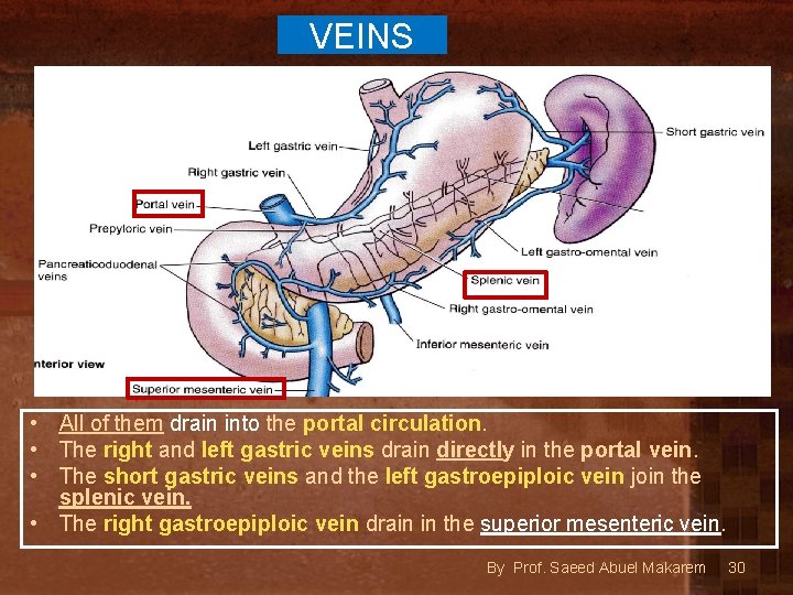 VEINS • All of them drain into the portal circulation. • The right and