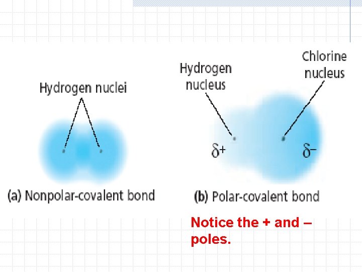 Notice the + and – poles. 