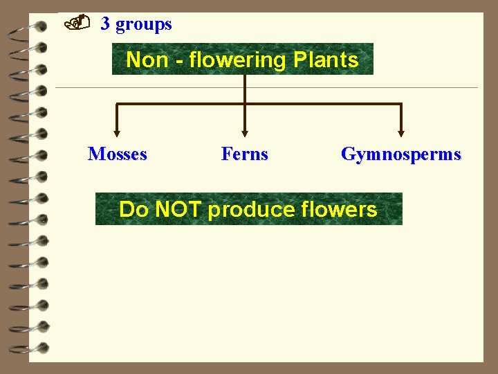 . 3 groups Non - flowering Plants Mosses Ferns Gymnosperms Do NOT produce flowers