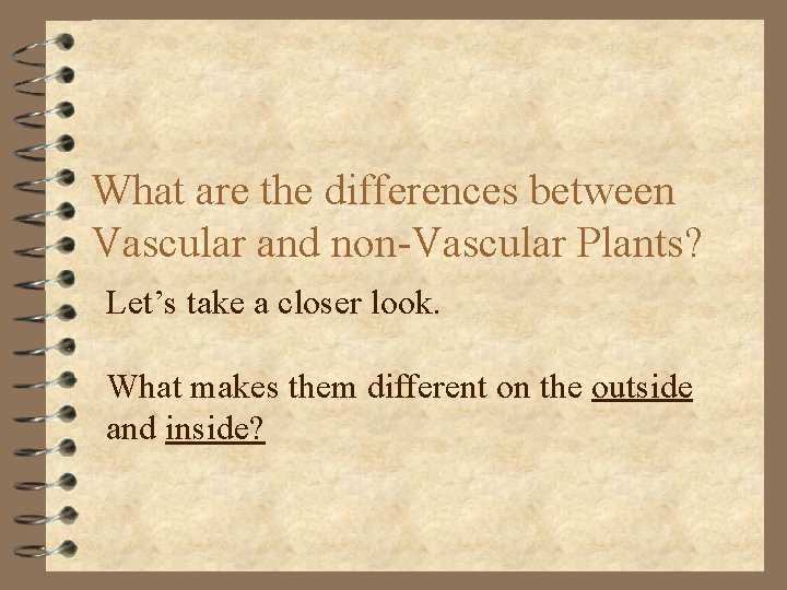 What are the differences between Vascular and non-Vascular Plants? Let’s take a closer look.