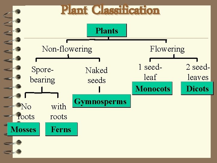Plant Classification Plants Non-flowering Sporebearing No roots Mosses with roots Ferns Naked seeds Gymnosperms