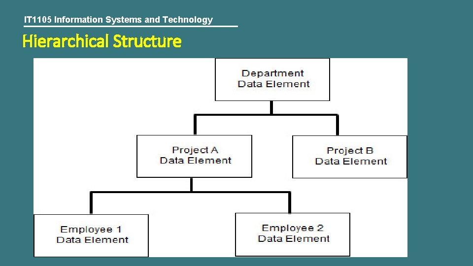 IT 1105 Information Systems and Technology Hierarchical Structure 