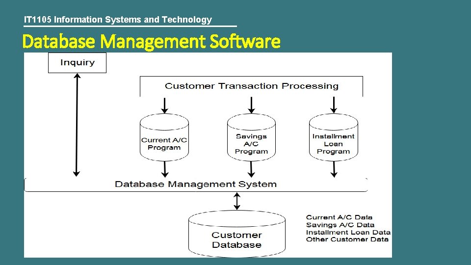 IT 1105 Information Systems and Technology Database Management Software 