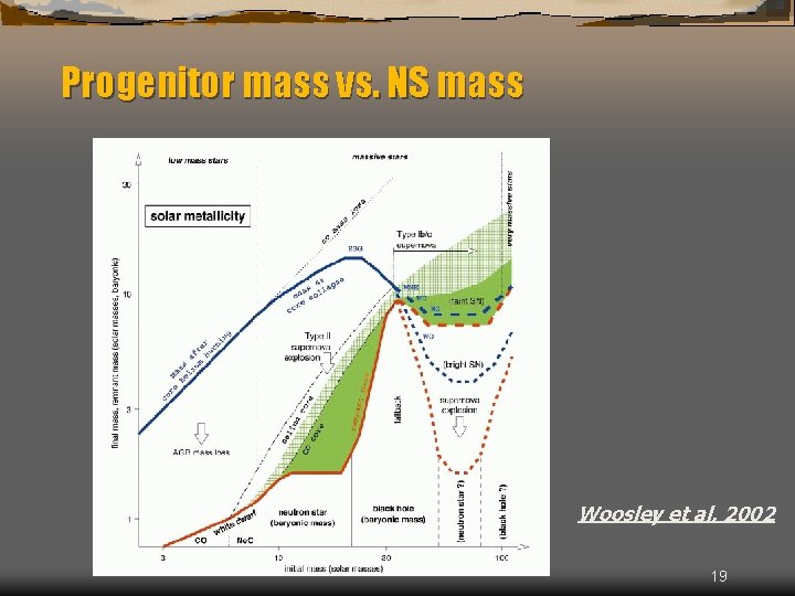Progenitor mass vs. NS mass Woosley et al. 2002 19 