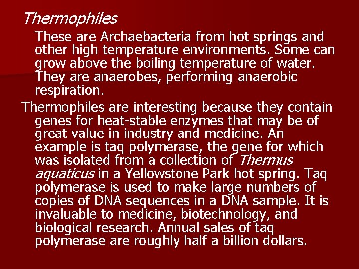 Thermophiles These are Archaebacteria from hot springs and other high temperature environments. Some can