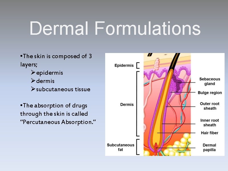 Dermal Formulations • The skin is composed of 3 layers; Øepidermis Øsubcutaneous tissue •