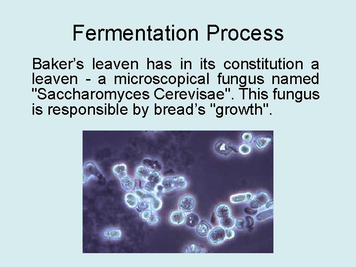 Fermentation Process Baker’s leaven has in its constitution a leaven - a microscopical fungus