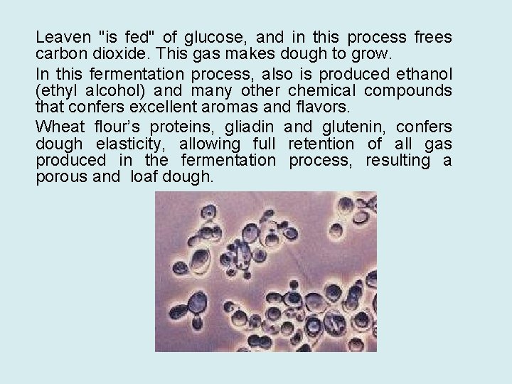 Leaven "is fed" of glucose, and in this process frees carbon dioxide. This gas