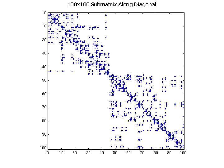 100 x 100 Submatrix Along Diagonal BIPS 