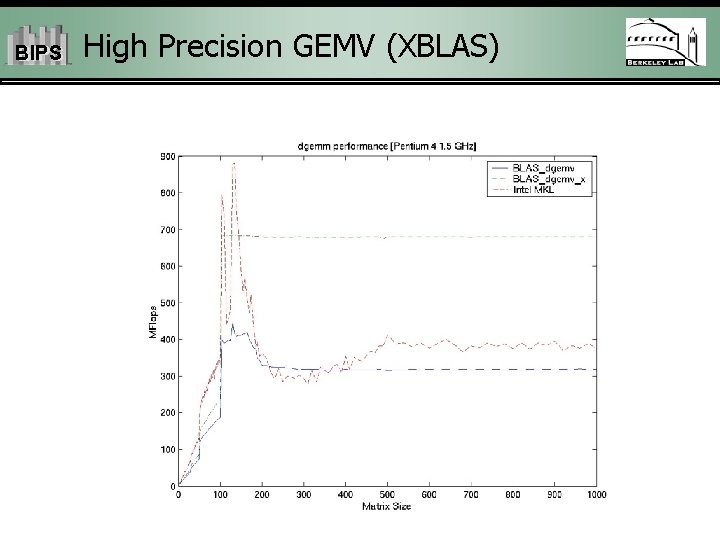 BIPS High Precision GEMV (XBLAS) 