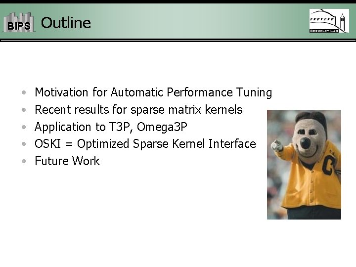 BIPS • • • Outline Motivation for Automatic Performance Tuning Recent results for sparse