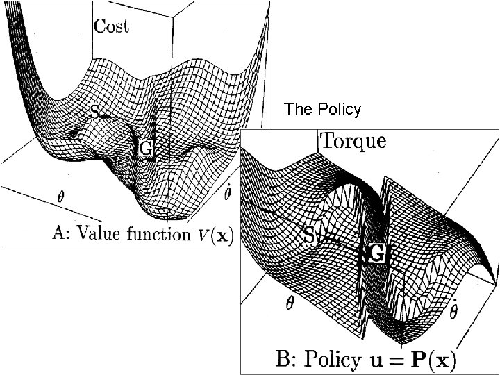 The Policy 