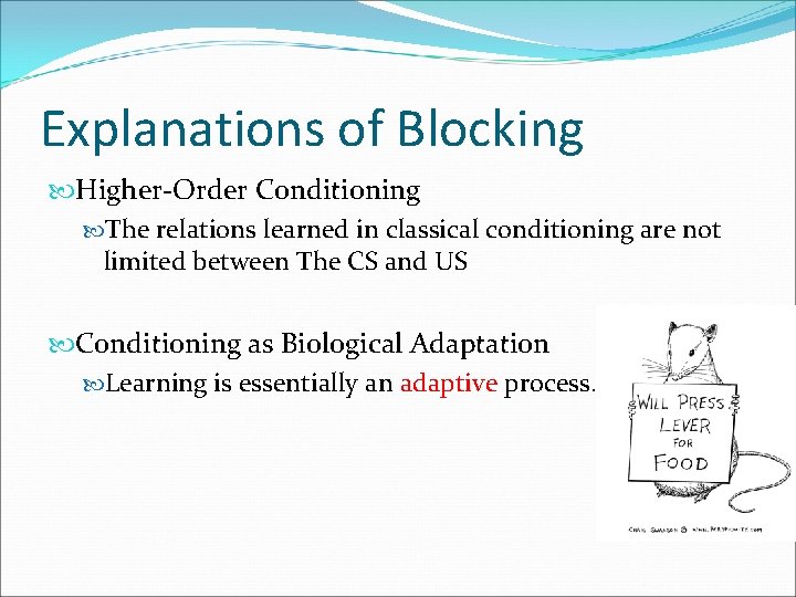 Explanations of Blocking Higher-Order Conditioning The relations learned in classical conditioning are not limited