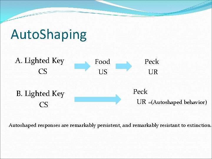 Auto. Shaping A. Lighted Key CS B. Lighted Key CS Food US Peck UR