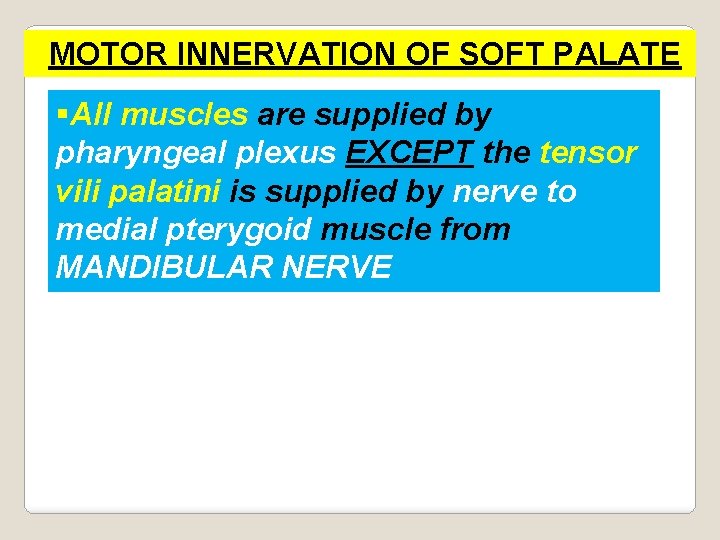 MOTOR INNERVATION OF SOFT PALATE §All muscles are supplied by pharyngeal plexus EXCEPT the