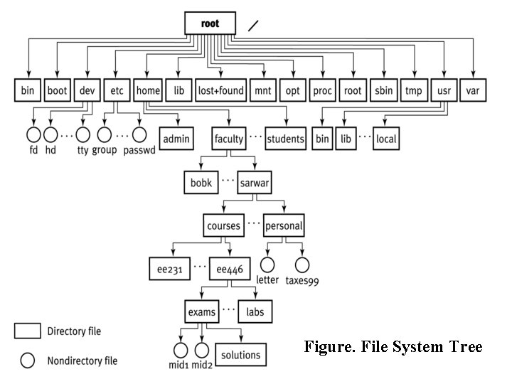 Figure. File System Tree 