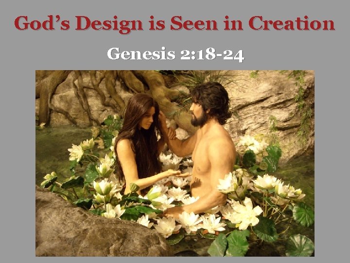 God’s Design is Seen in Creation Genesis 2: 18 -24 