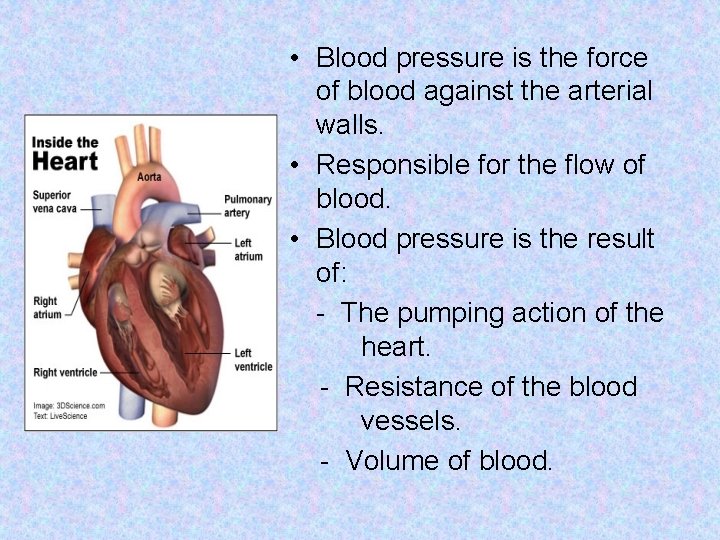  • Blood pressure is the force of blood against the arterial walls. •