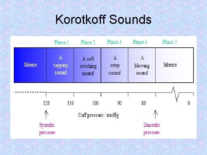 Korotkoff Sounds 