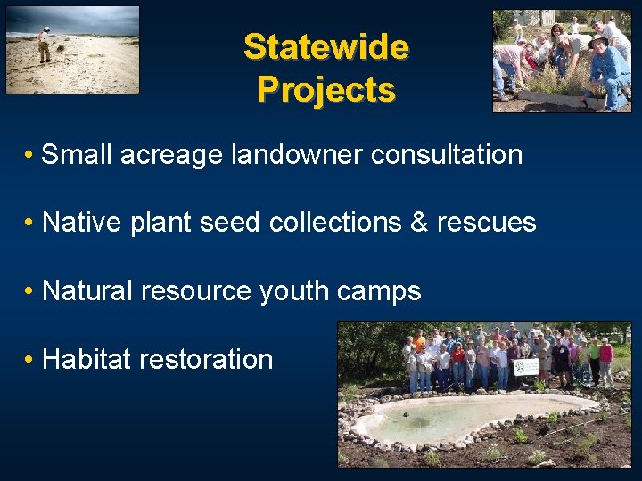 Statewide Projects • Small acreage landowner consultation • Native plant seed collections & rescues