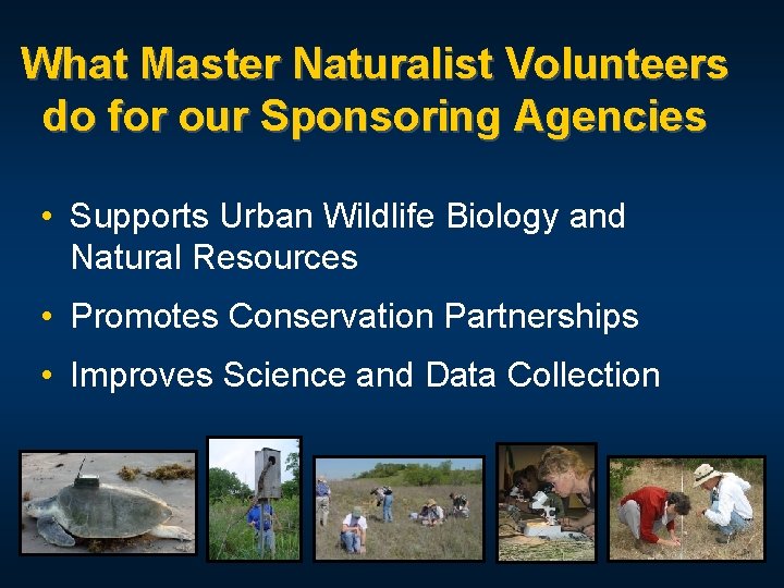 What Master Naturalist Volunteers do for our Sponsoring Agencies • Supports Urban Wildlife Biology