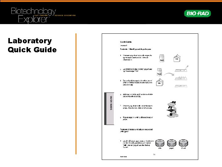 Laboratory Quick Guide 