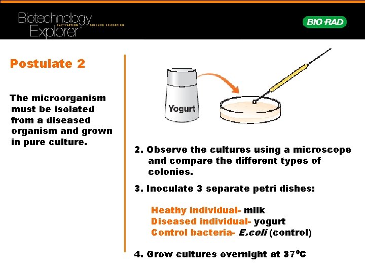 Postulate 2 The microorganism must be isolated from a diseased organism and grown in