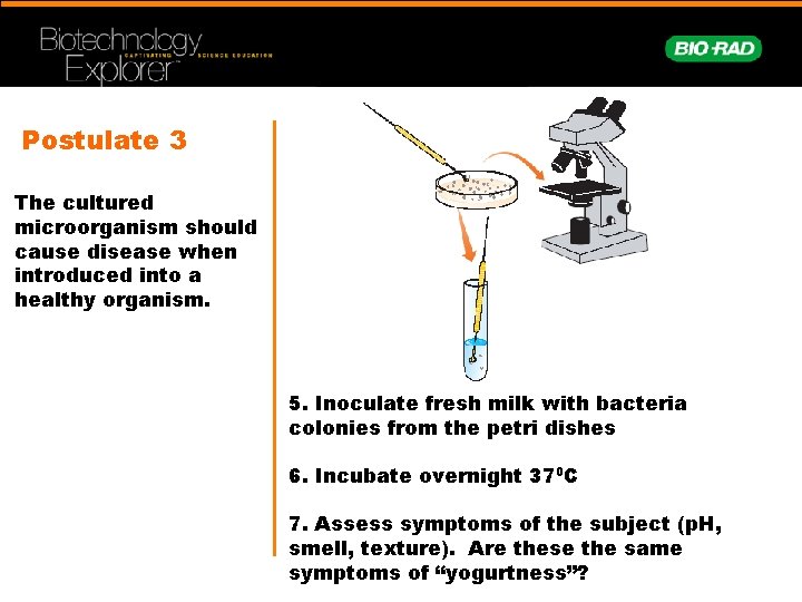 Postulate 3 The cultured microorganism should cause disease when introduced into a healthy organism.