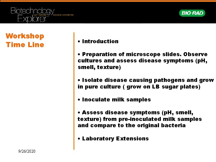 Workshop Time Line • Introduction • Preparation of microscope slides. Observe cultures and assess