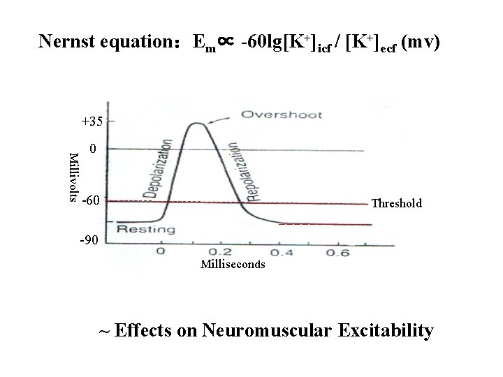 Nernst equation：Em∝ -60 lg[K+]icf / [K+]ecf (mv) +35 Millivolts 0 -60 Threshold -90 Milliseconds