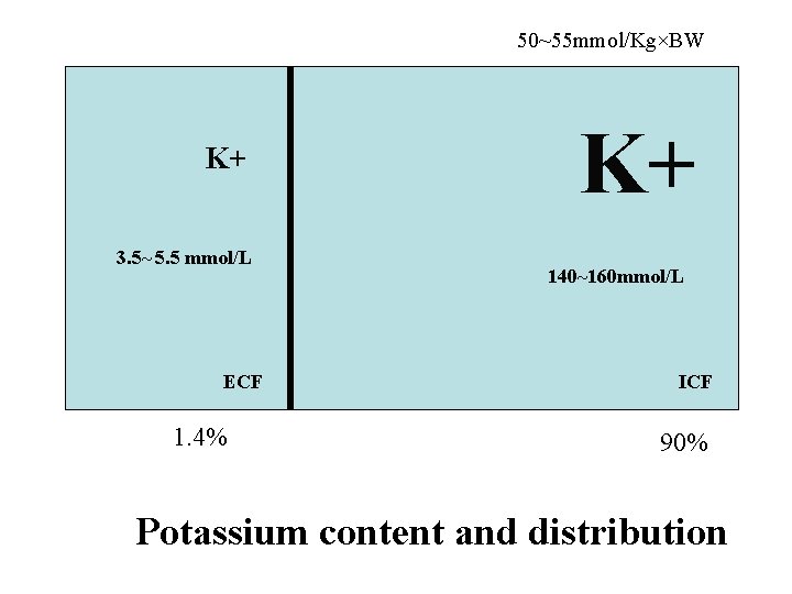 50~55 mmol/Kg×BW K+ 3. 5~ 5. 5 mmol/L ECF 1. 4% K+ 140~160 mmol/L