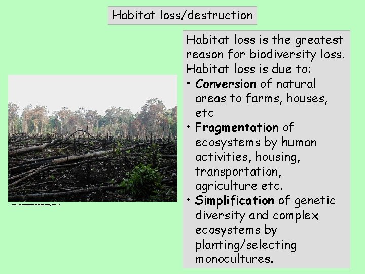 Habitat loss/destruction http: //en. wikipedia. org/wiki/File: Lacanja_burn. JPG Habitat loss is the greatest reason