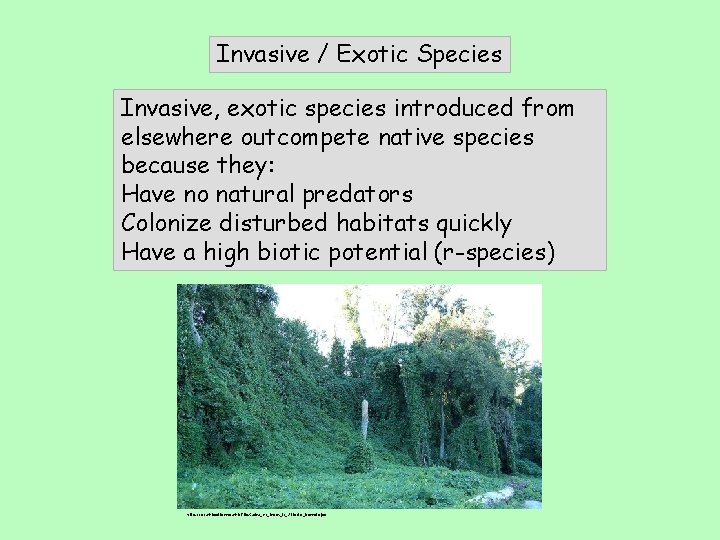 Invasive / Exotic Species Invasive, exotic species introduced from elsewhere outcompete native species because