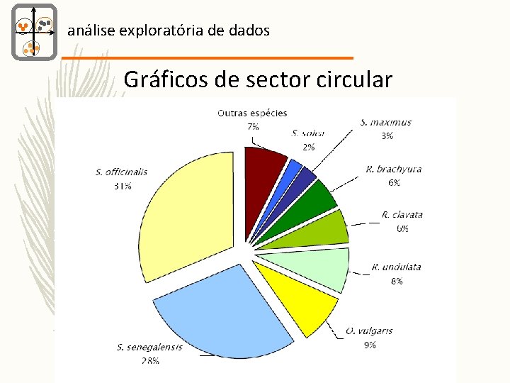 análise exploratória de dados Gráficos de sector circular 