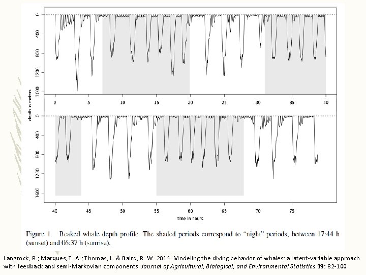 Langrock, R. ; Marques, T. A. ; Thomas, L. & Baird, R. W. 2014