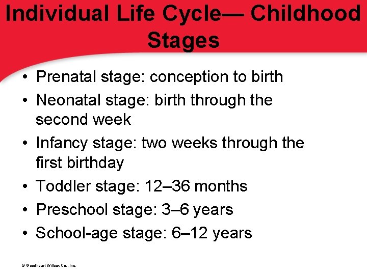 Individual Life Cycle— Childhood Stages • Prenatal stage: conception to birth • Neonatal stage: