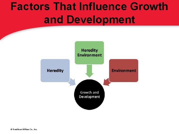 Factors That Influence Growth and Development © Goodheart-Willcox Co. , Inc. 