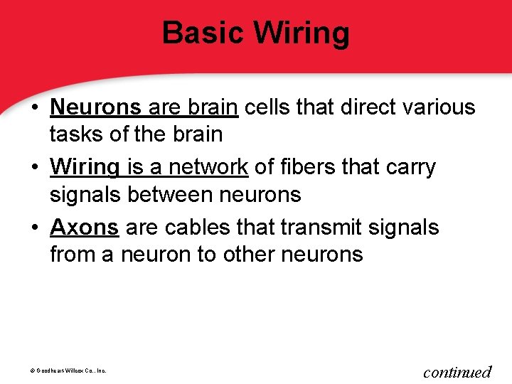 Basic Wiring • Neurons are brain cells that direct various tasks of the brain