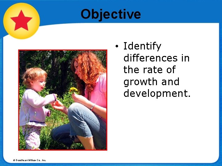 Objective • Identify differences in the rate of growth and development. © Goodheart-Willcox Co.