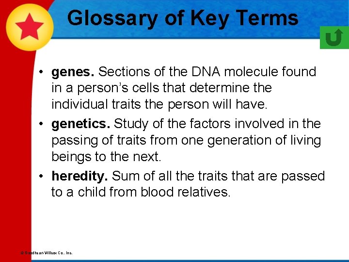 Glossary of Key Terms • genes. Sections of the DNA molecule found in a