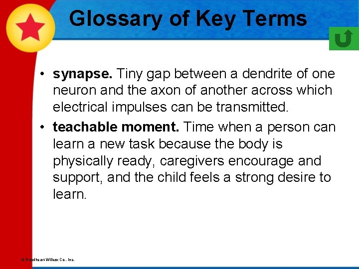 Glossary of Key Terms • synapse. Tiny gap between a dendrite of one neuron