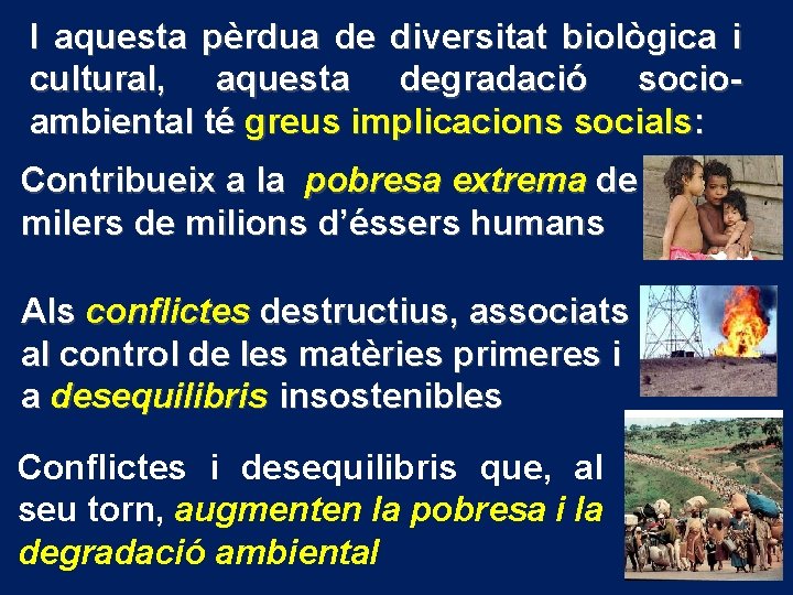 I aquesta pèrdua de diversitat biològica i cultural, aquesta degradació socioambiental té greus implicacions