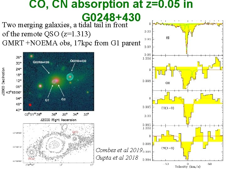 CO, CN absorption at z=0. 05 in G 0248+430 Two merging galaxies, a tidal