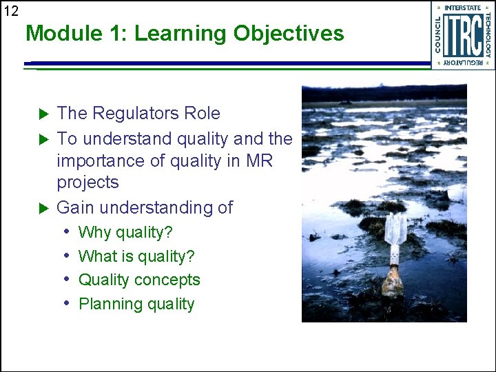 12 Module 1: Learning Objectives u u u The Regulators Role To understand quality