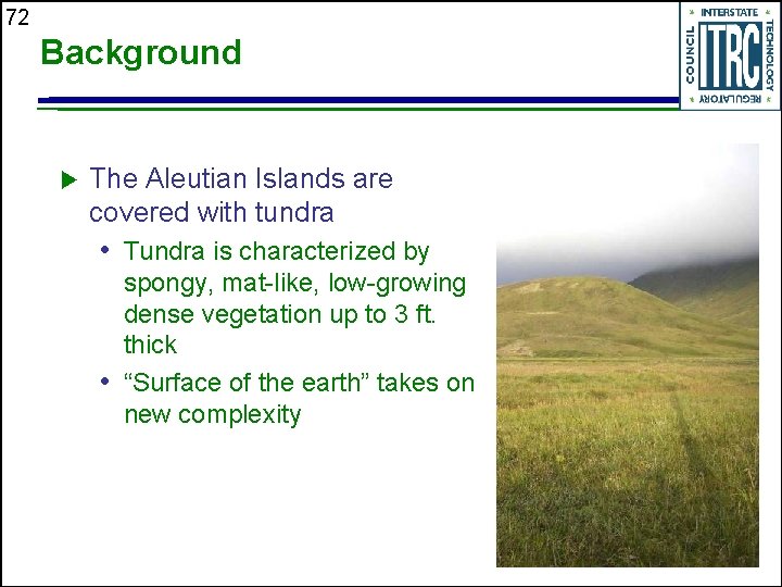 72 Background u The Aleutian Islands are covered with tundra • Tundra is characterized