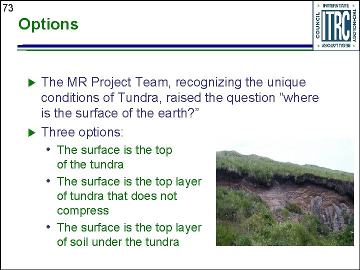 73 Options u u The MR Project Team, recognizing the unique conditions of Tundra,