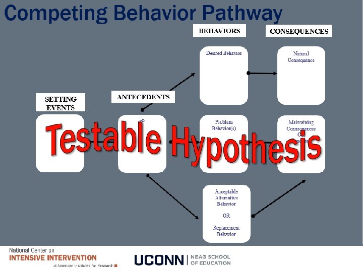 Competing Behavior Pathway 