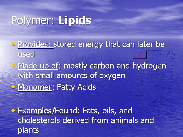 Polymer: Lipids • Provides: stored energy that can later be used • Made up